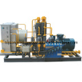 CNG Compressor LPG Compressor LNG Compressor Nitrogen Compressor (Vw-6.7/2-25)